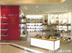 叠骥集团 专注皮鞋与服饰零售，打造一站式购物体验